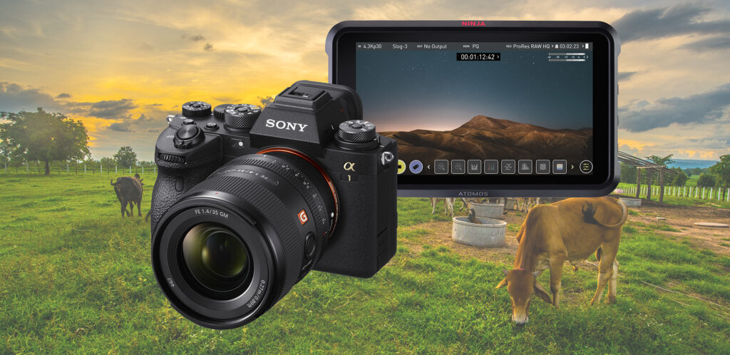 Atomos