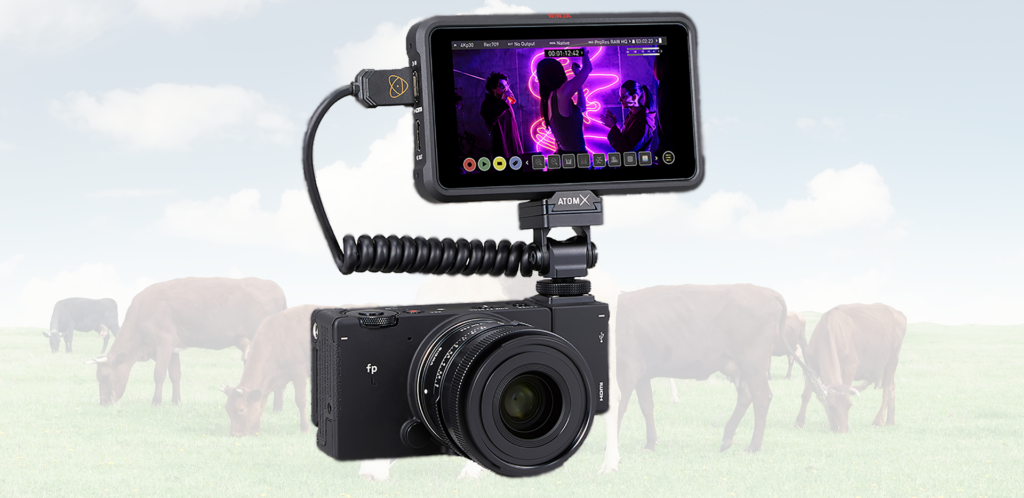 Atomos Ninja