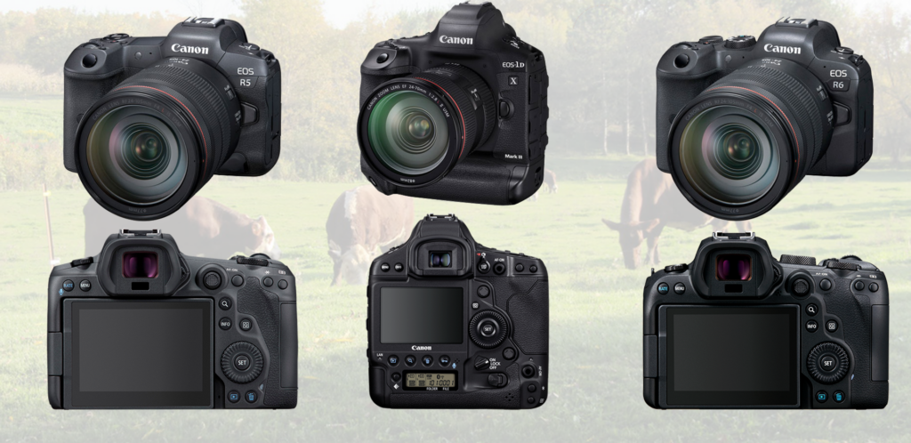 Canon EOS R5 EOS R6 and EOS-1D X