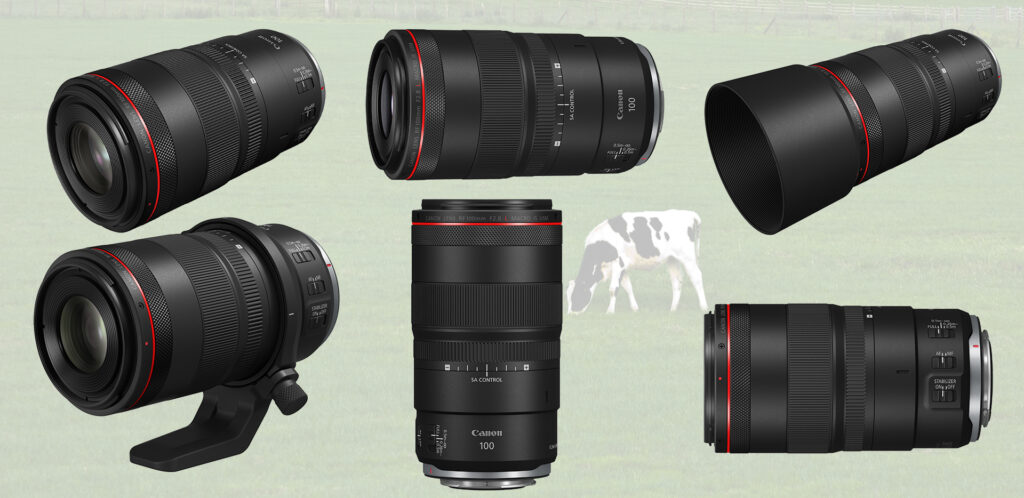 RF100 mm F2.8 L Macro IS USM