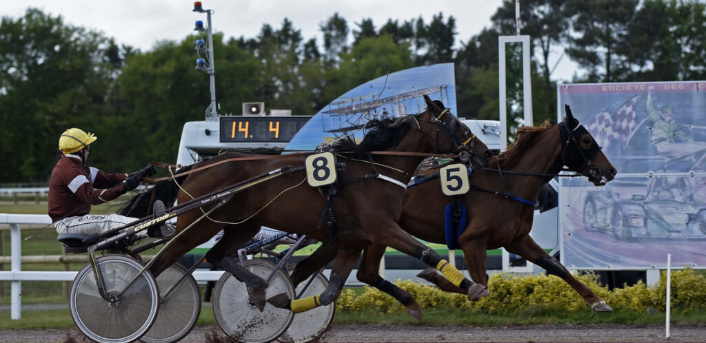 Blackmagic Design Live Production Workflow Horse Racing