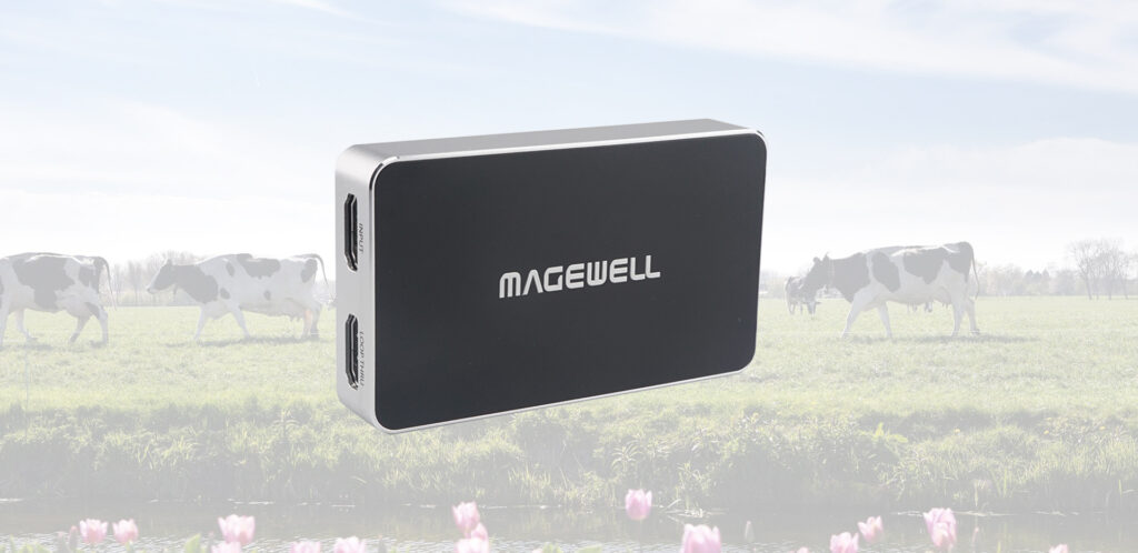 Magewell