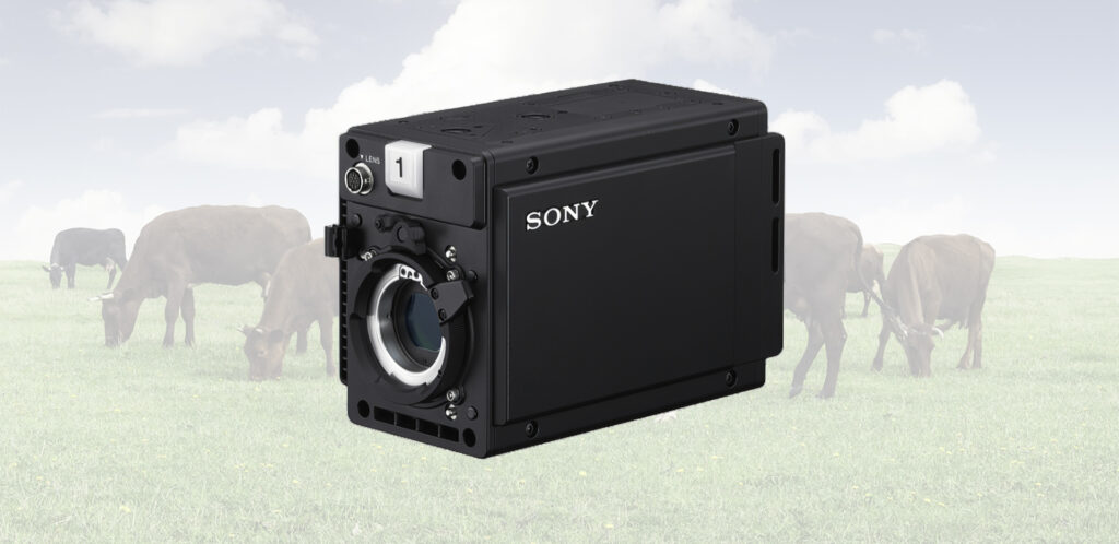 Sony DHC-P50 Camera