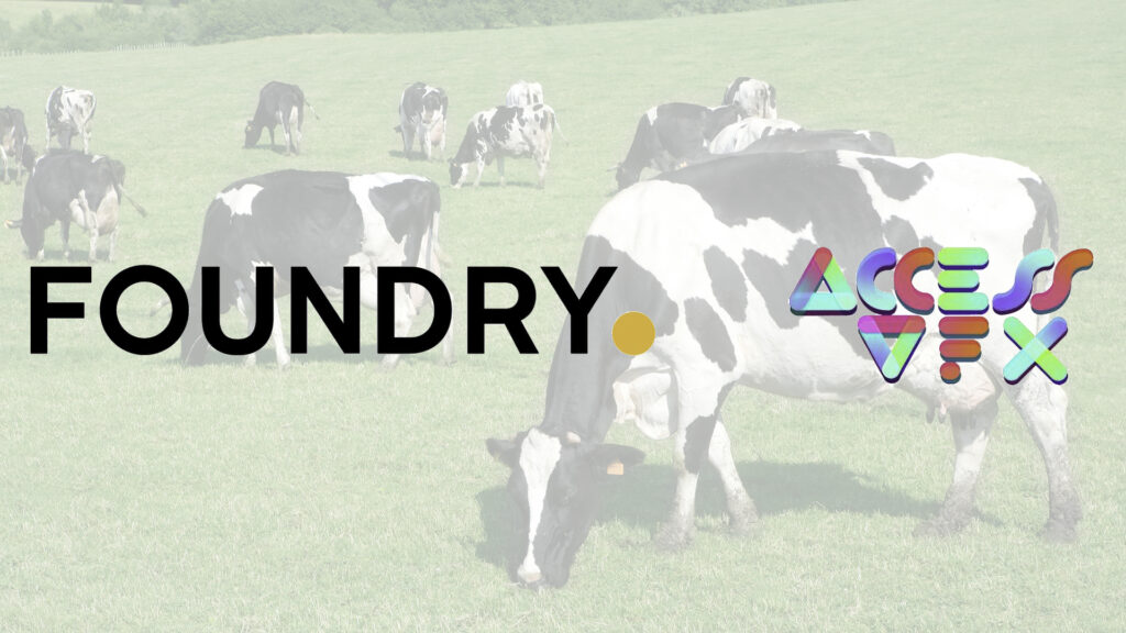 Foundry Access VFX