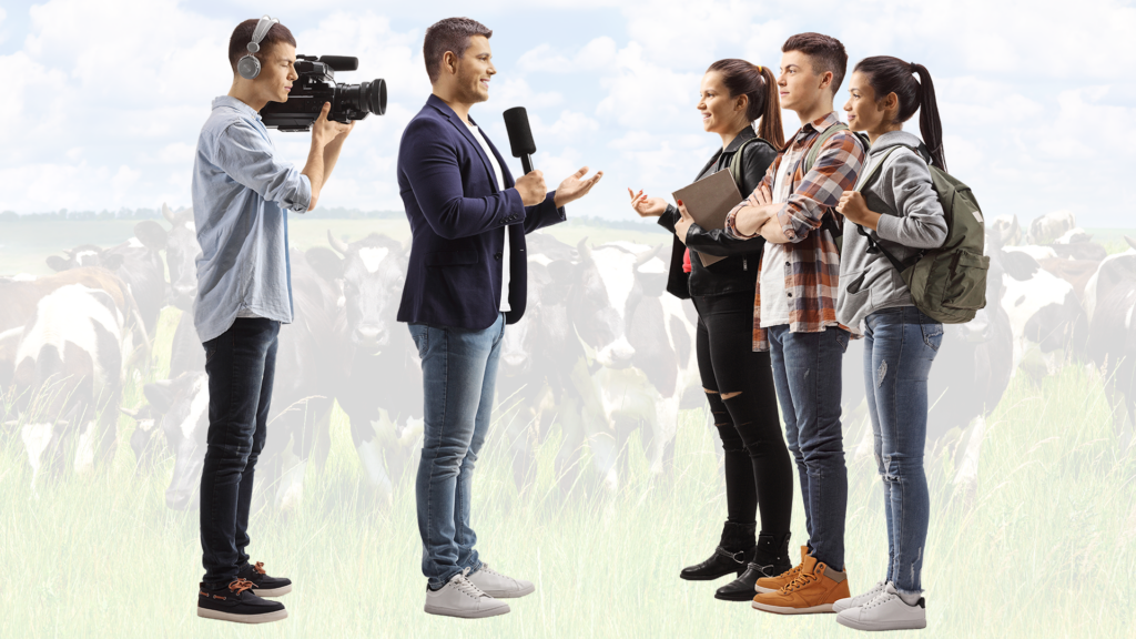 Film Broadcast Students Cows