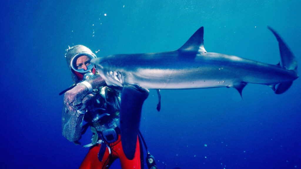 Playing with Sharks