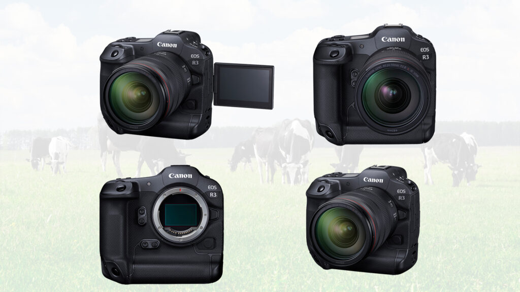 Canon EOS R3 RF