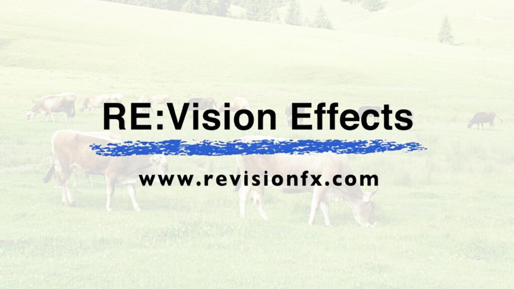 RE:Vision Effects