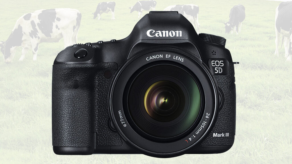 Canon 5D Mark II